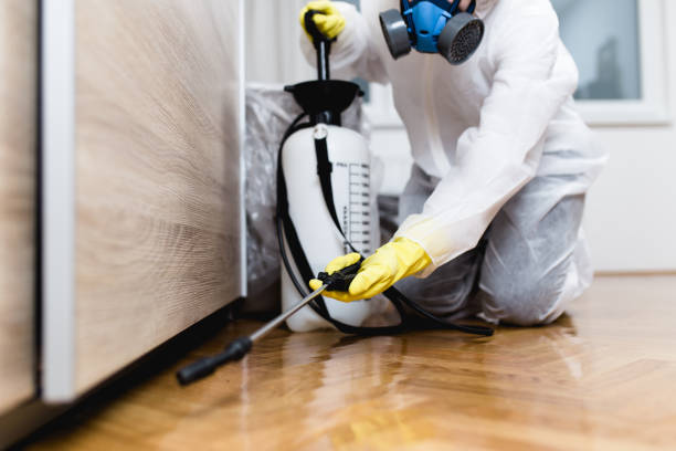 Best Emergency Pest Control  in Granville South, OH