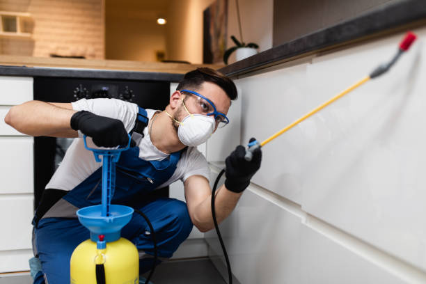 Best Cockroach Control Services  in Granville South, OH