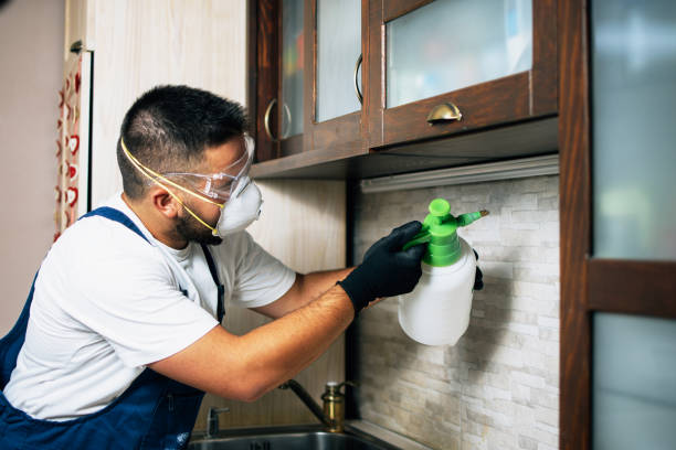 Best Best Pest Control Companies  in Granville South, OH