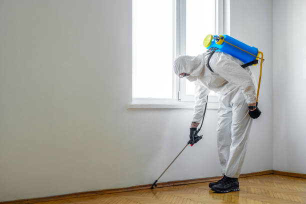 Best Affordable Pest Control Services  in Granville South, OH