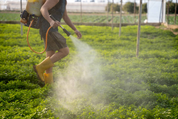 Best Pest Control Cost  in Granville South, OH