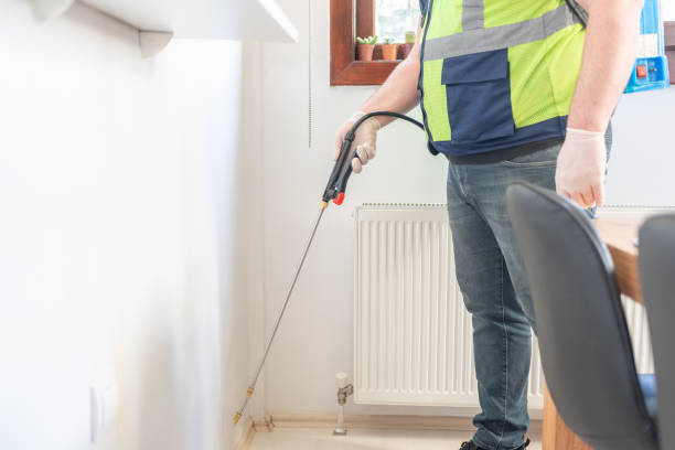Best Ant Control Services  in Granville South, OH