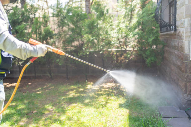Best Insect Control  in Granville South, OH