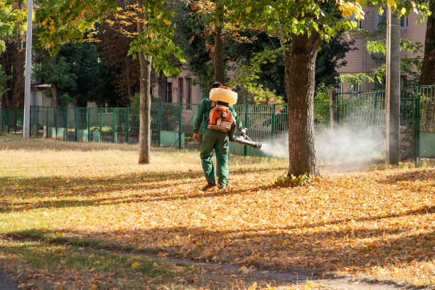 Best Best Pest Control Companies  in Granville South, OH
